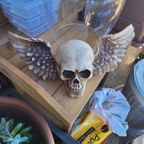 Meet your Posher, Road Kitten - Picture 2 of 3